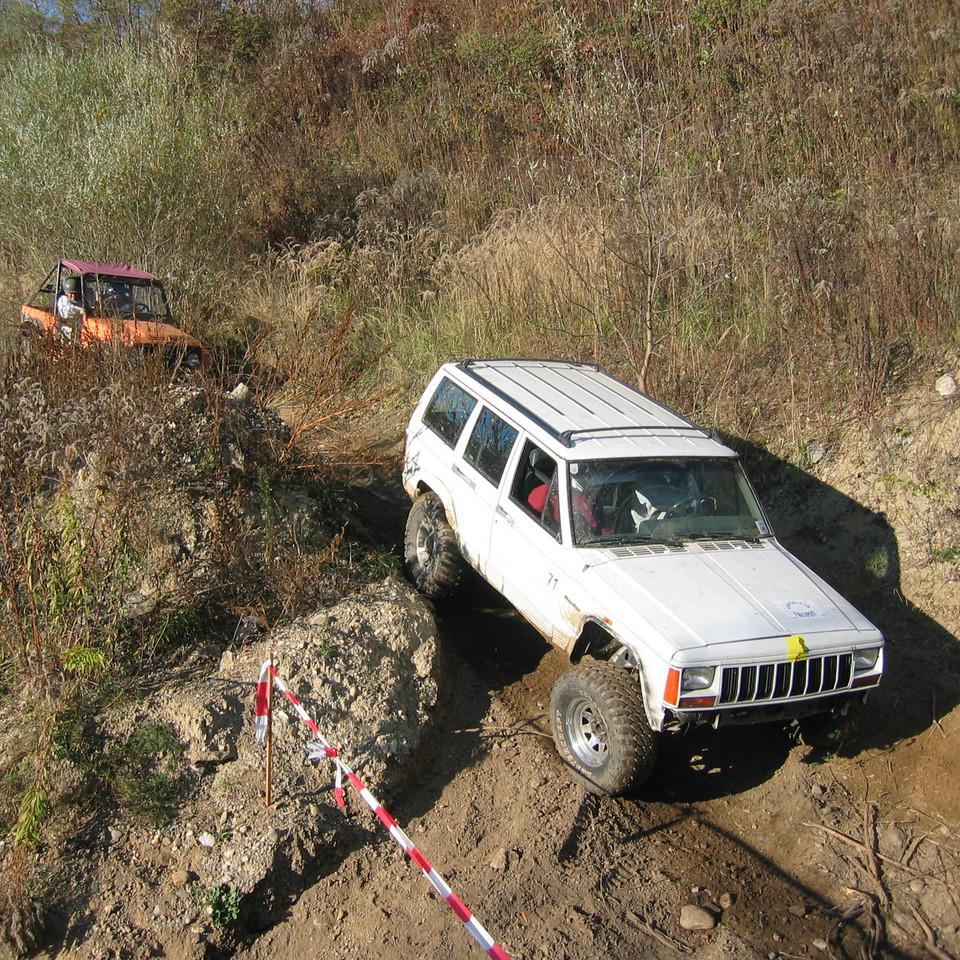 217.jpg