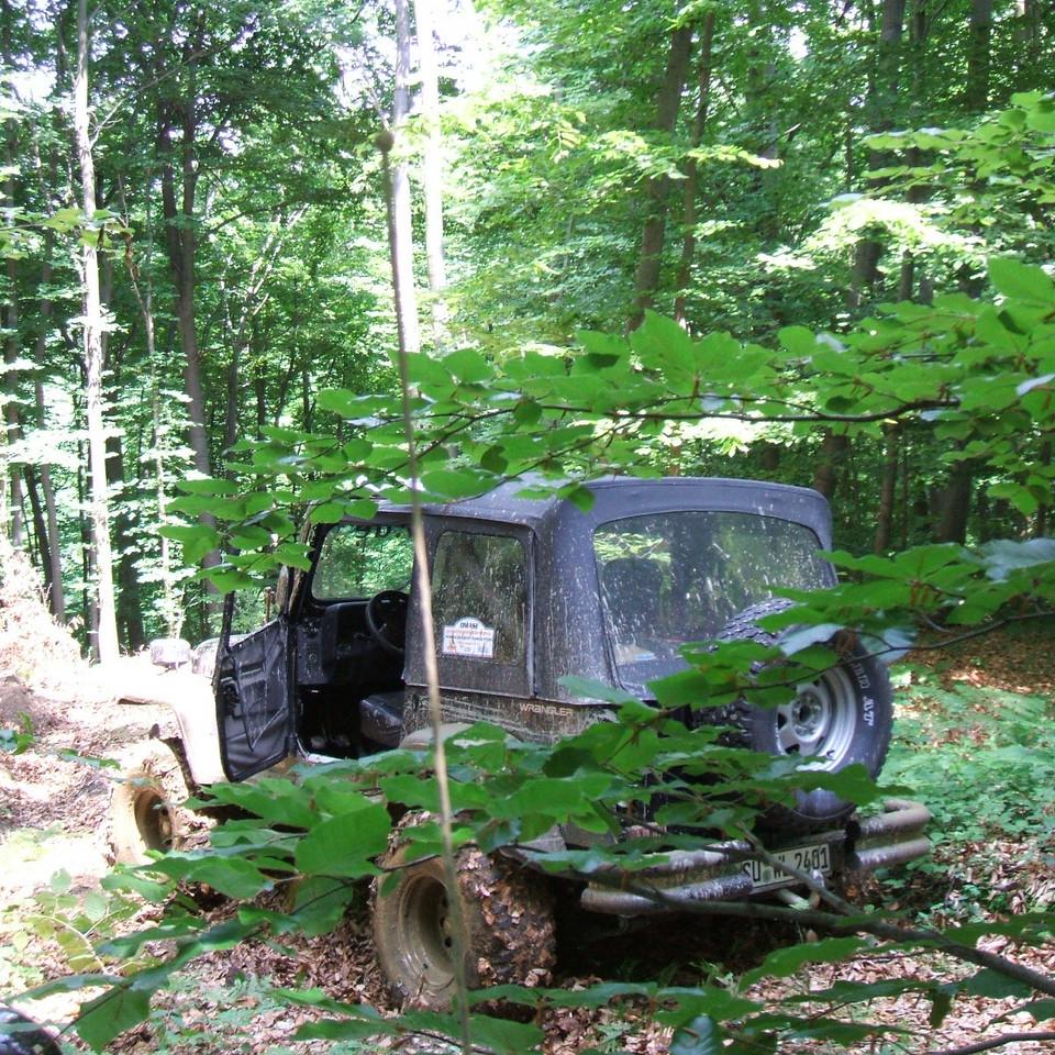 164.JPG