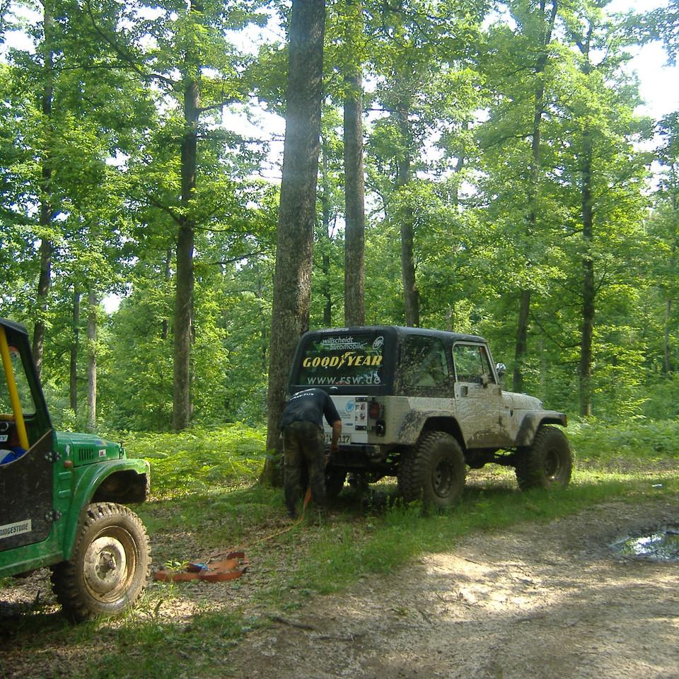 184.JPG
