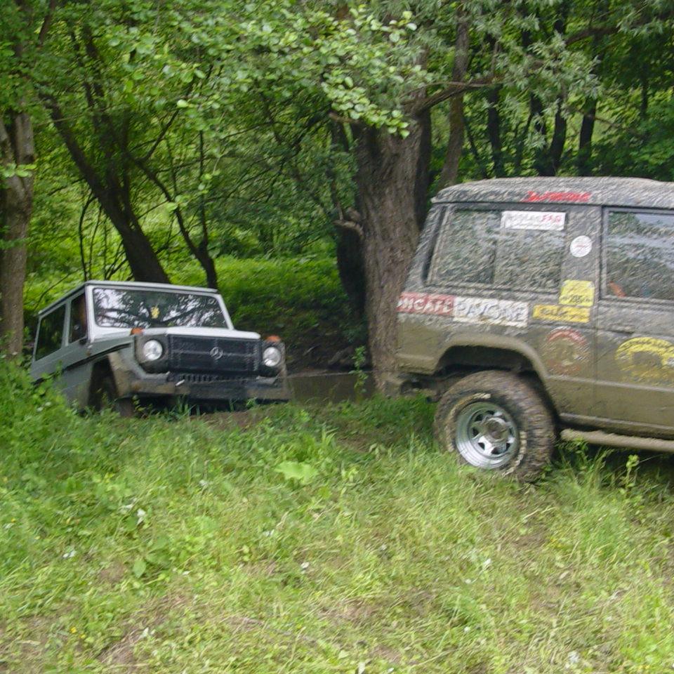 250.JPG
