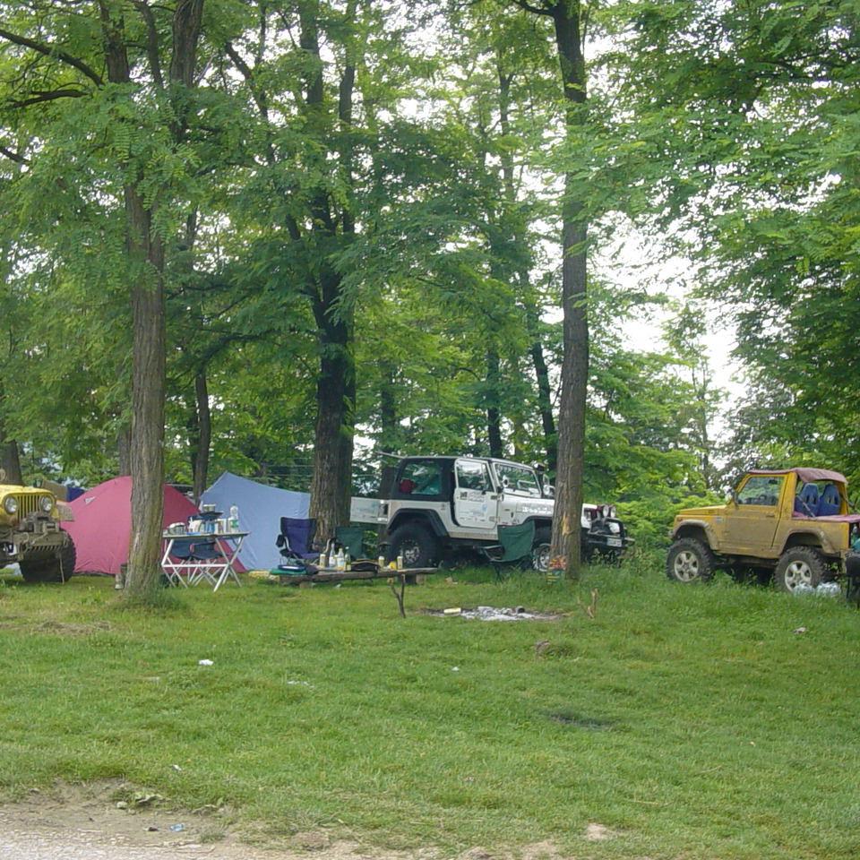 257.JPG