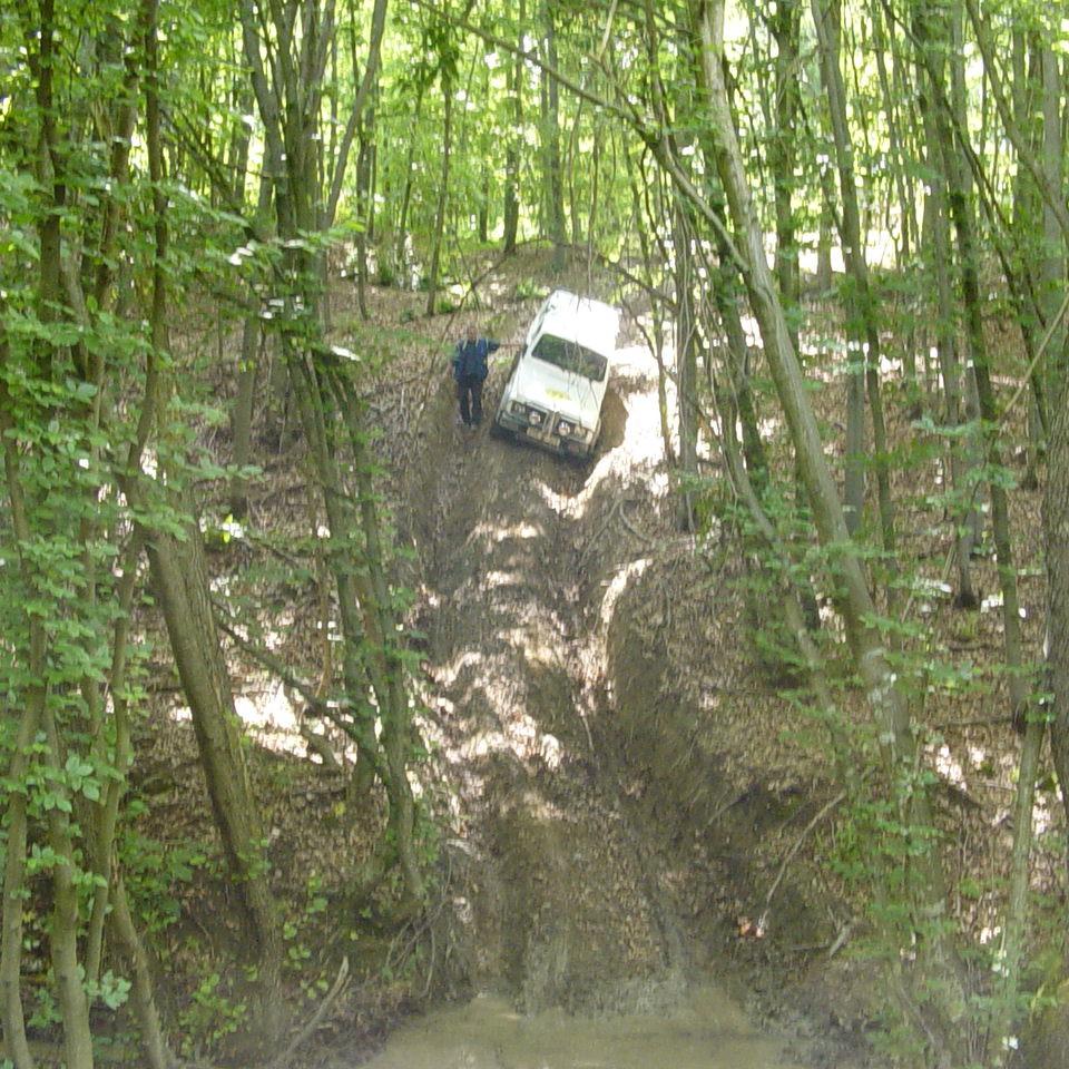 267.JPG