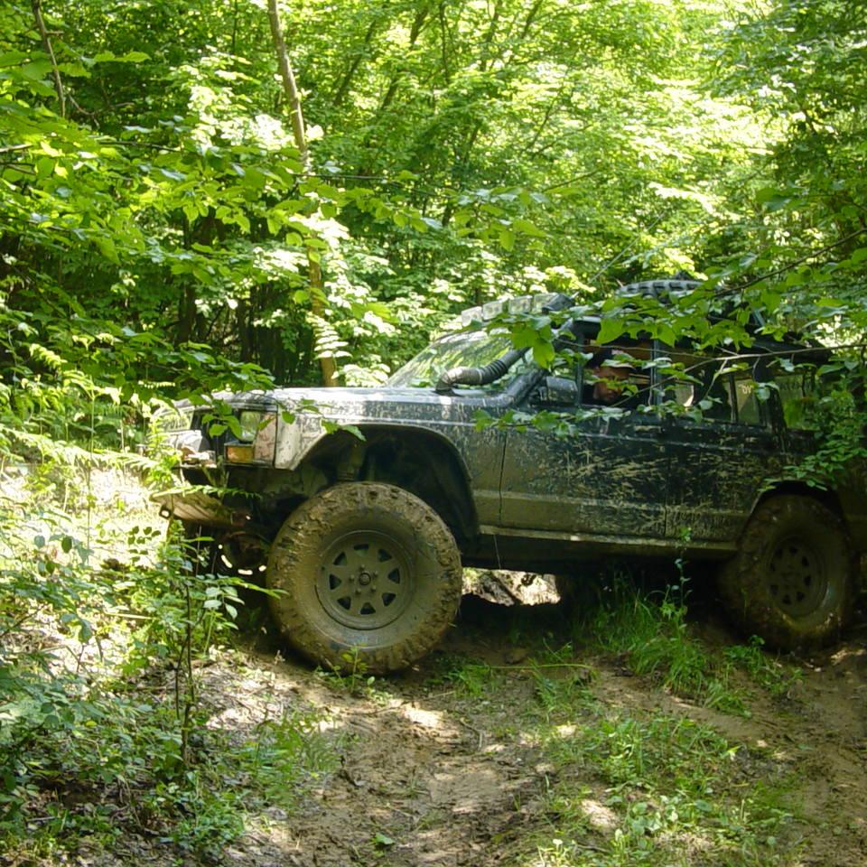 270.JPG