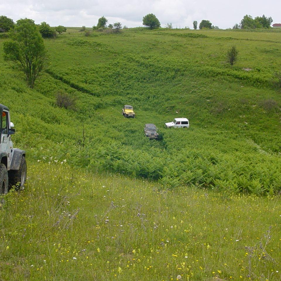 239.JPG