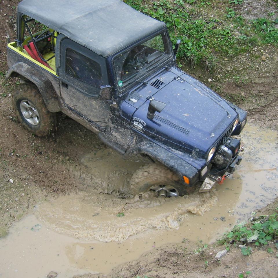 196.jpg