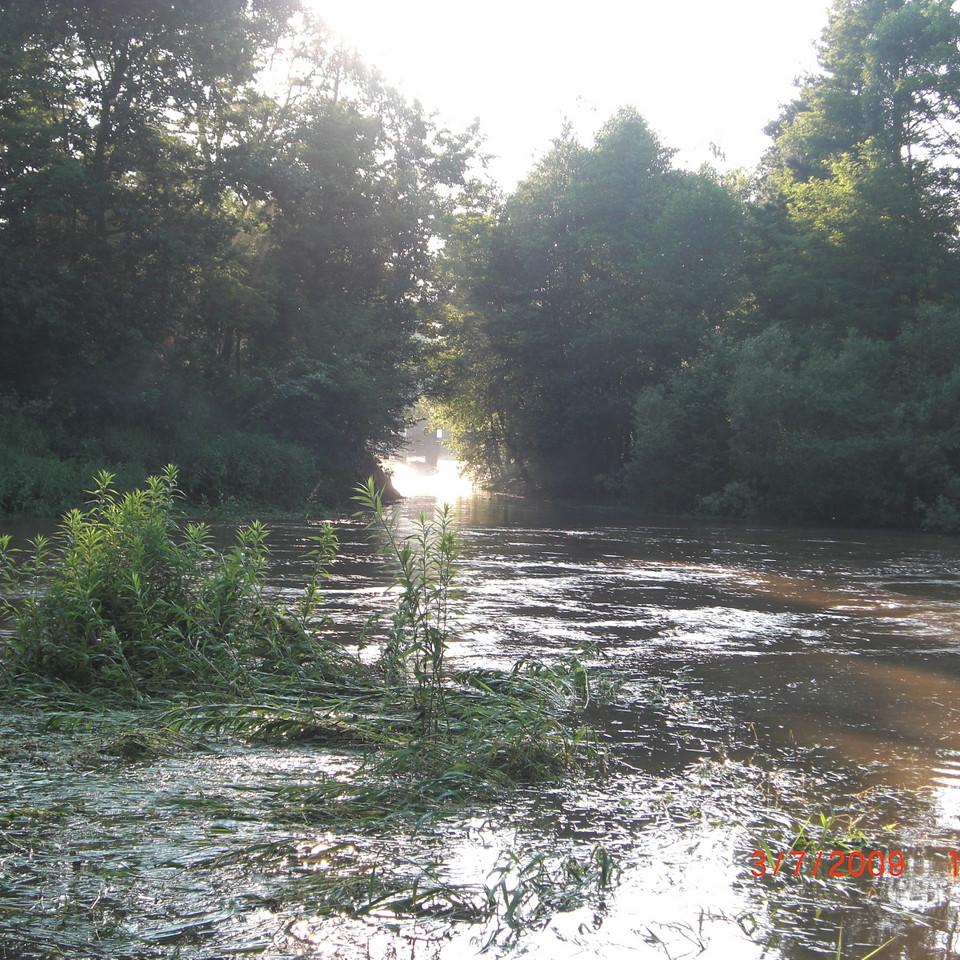164.jpg