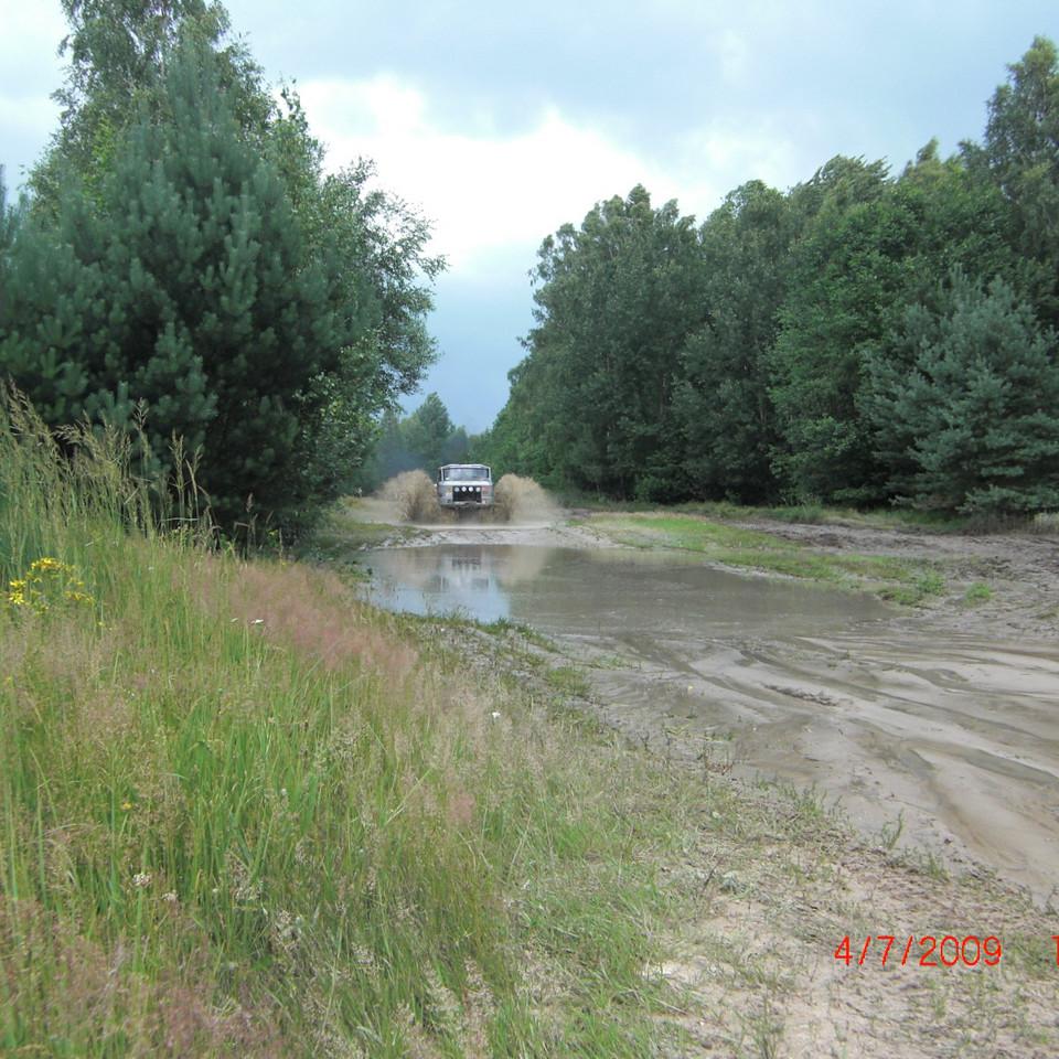 184.jpg