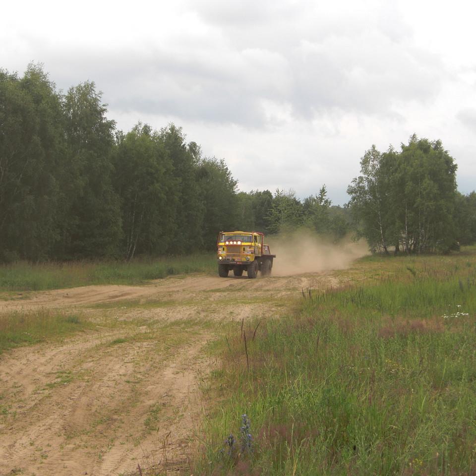 295.jpg
