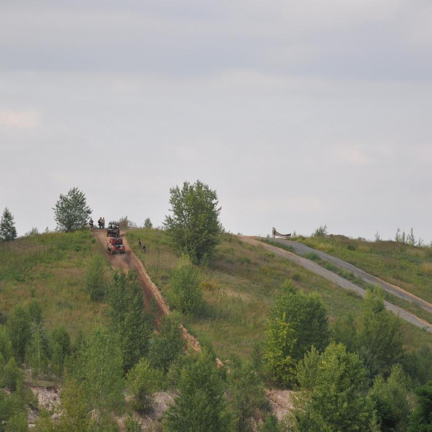 113.jpg