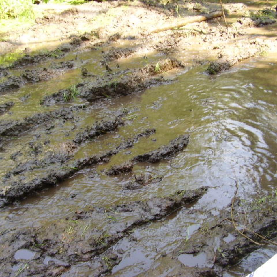 168.jpg