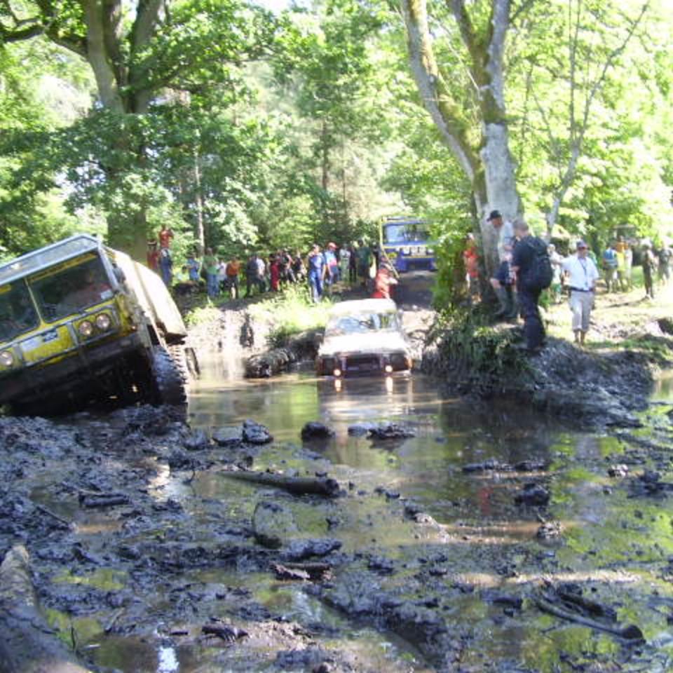 137.jpg