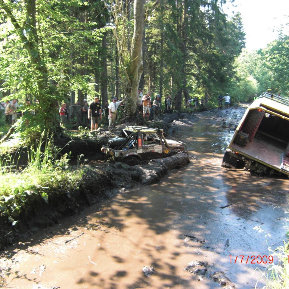 239.jpg