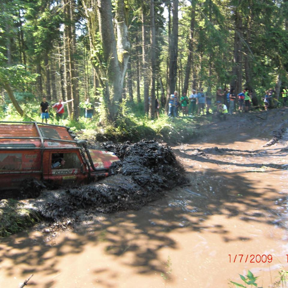 303.jpg
