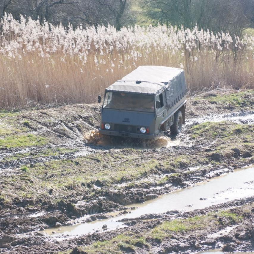 194.JPG