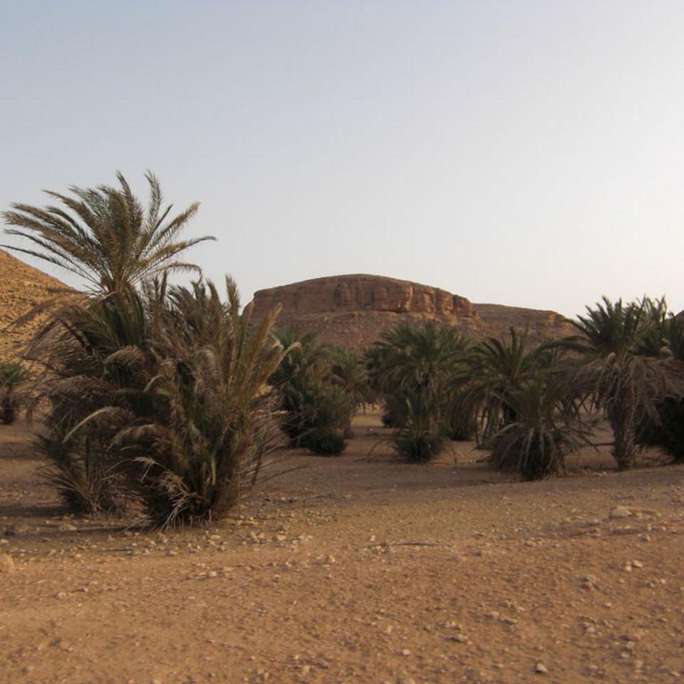 118.JPG