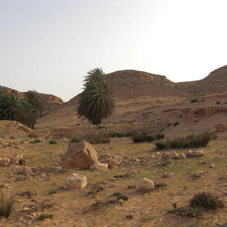 119.JPG