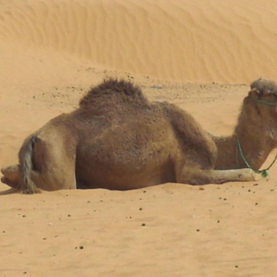 123.JPG