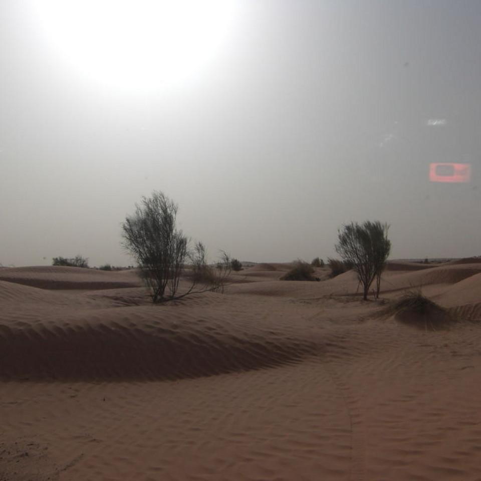 136.JPG