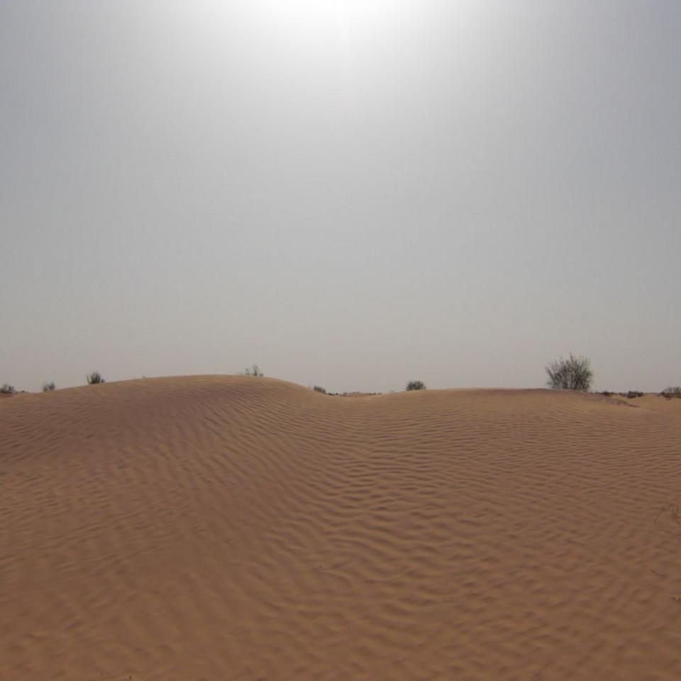 155.JPG