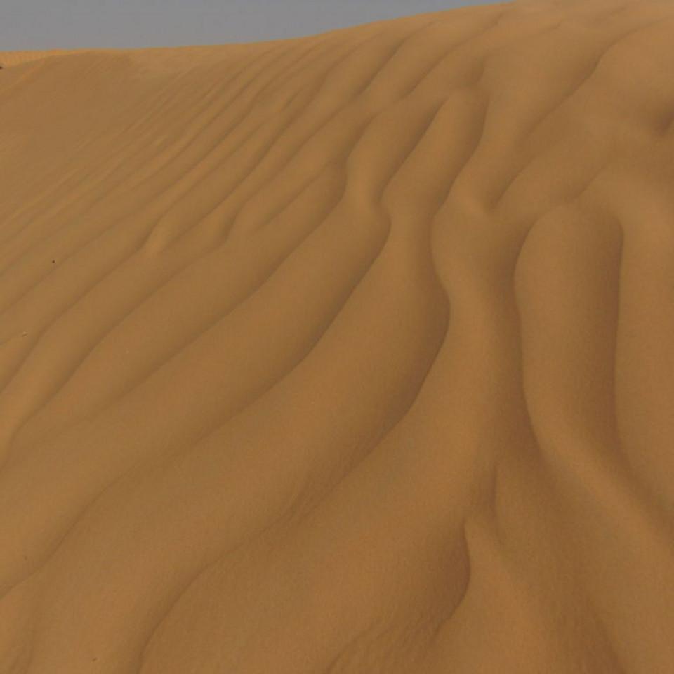 159.JPG