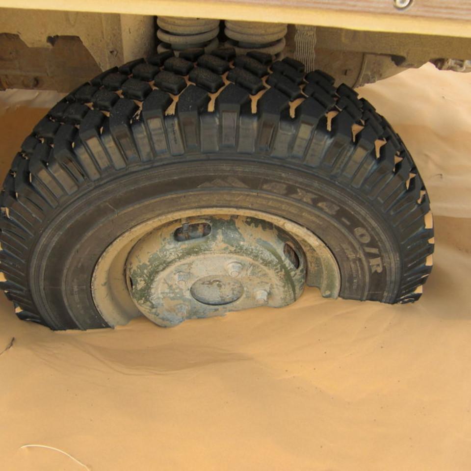 161.JPG