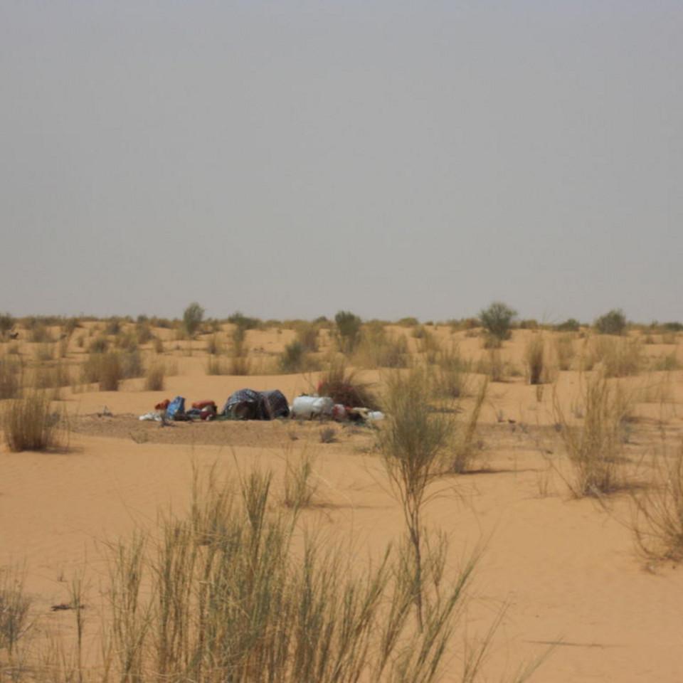 166.JPG
