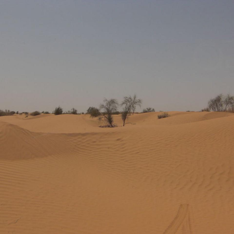 167.JPG