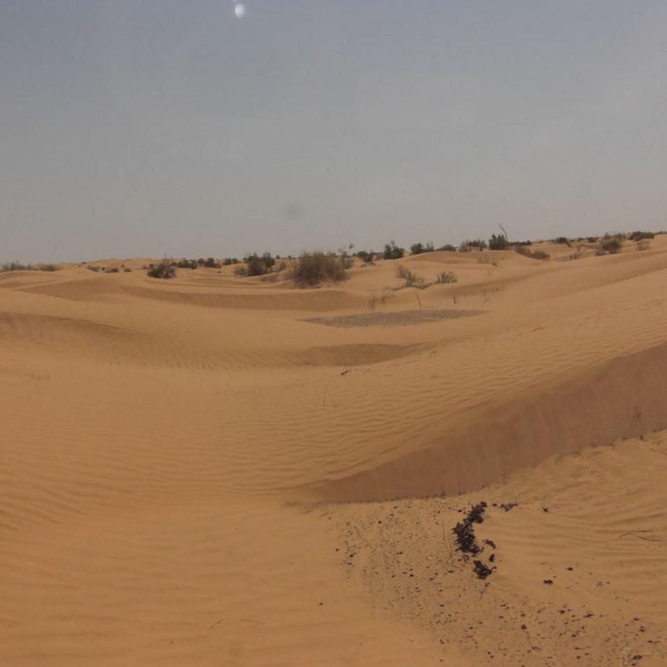 168.JPG