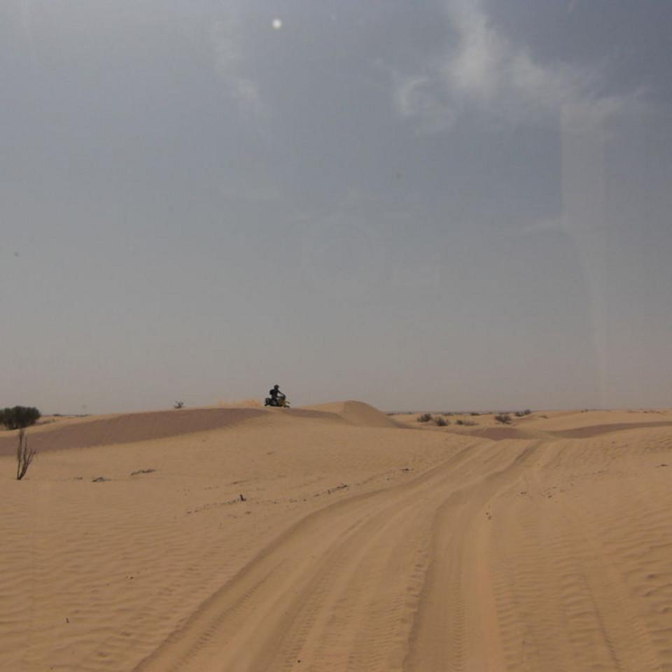 187.JPG