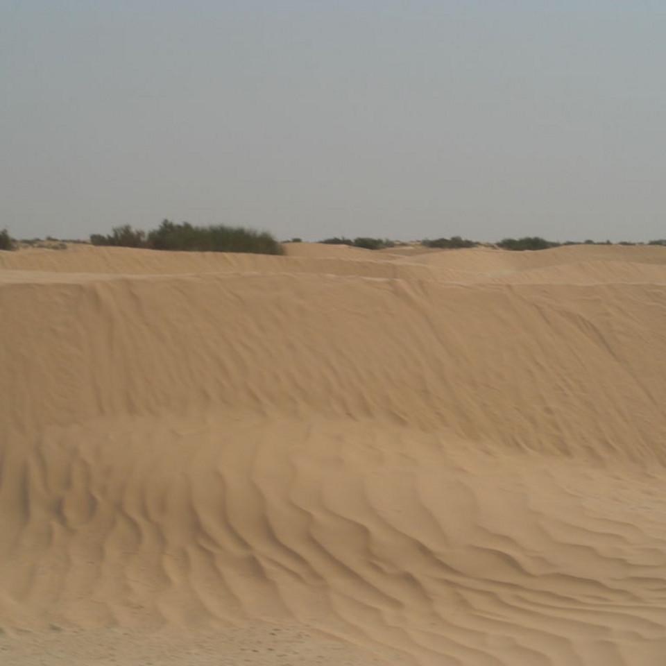 189.JPG