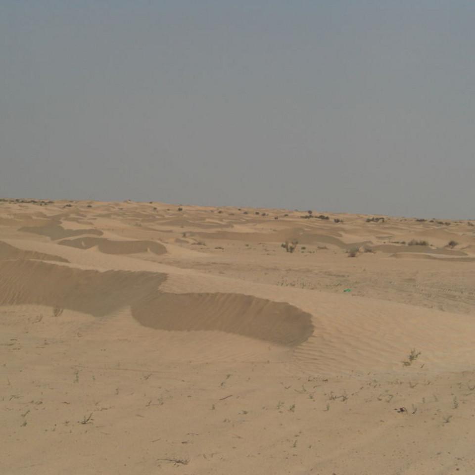 198.JPG