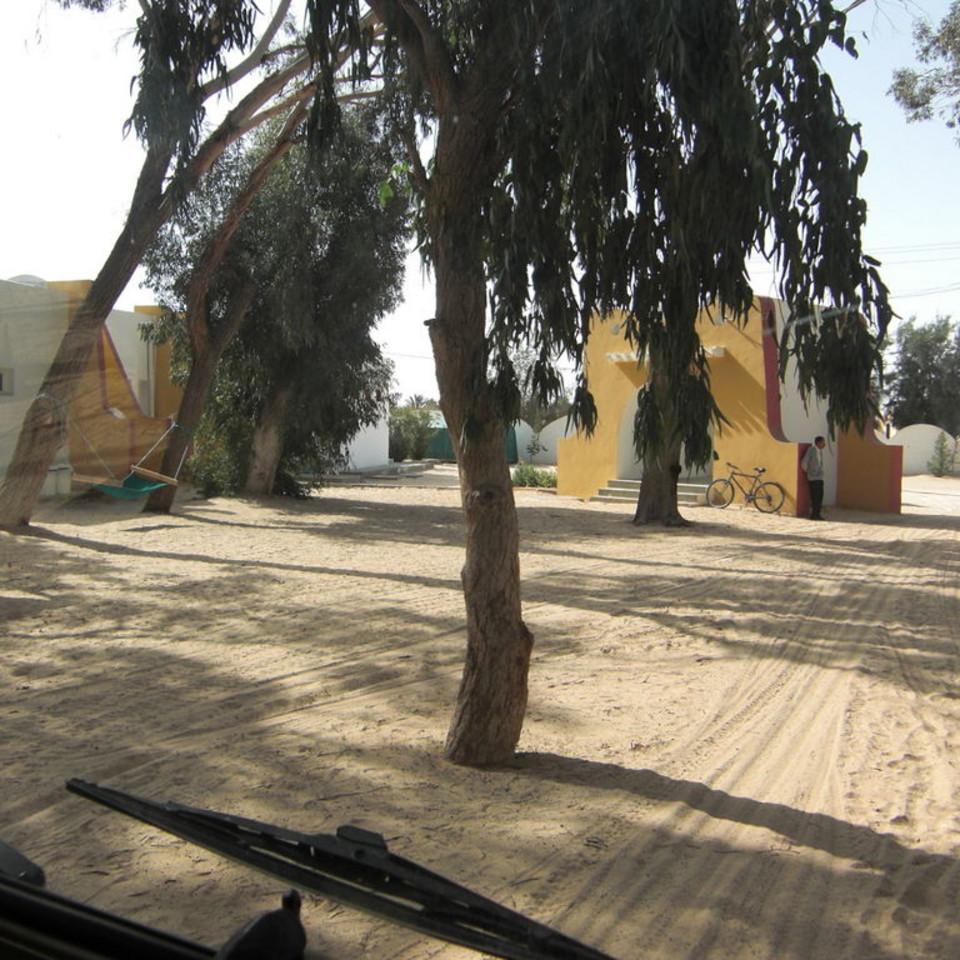 209.JPG