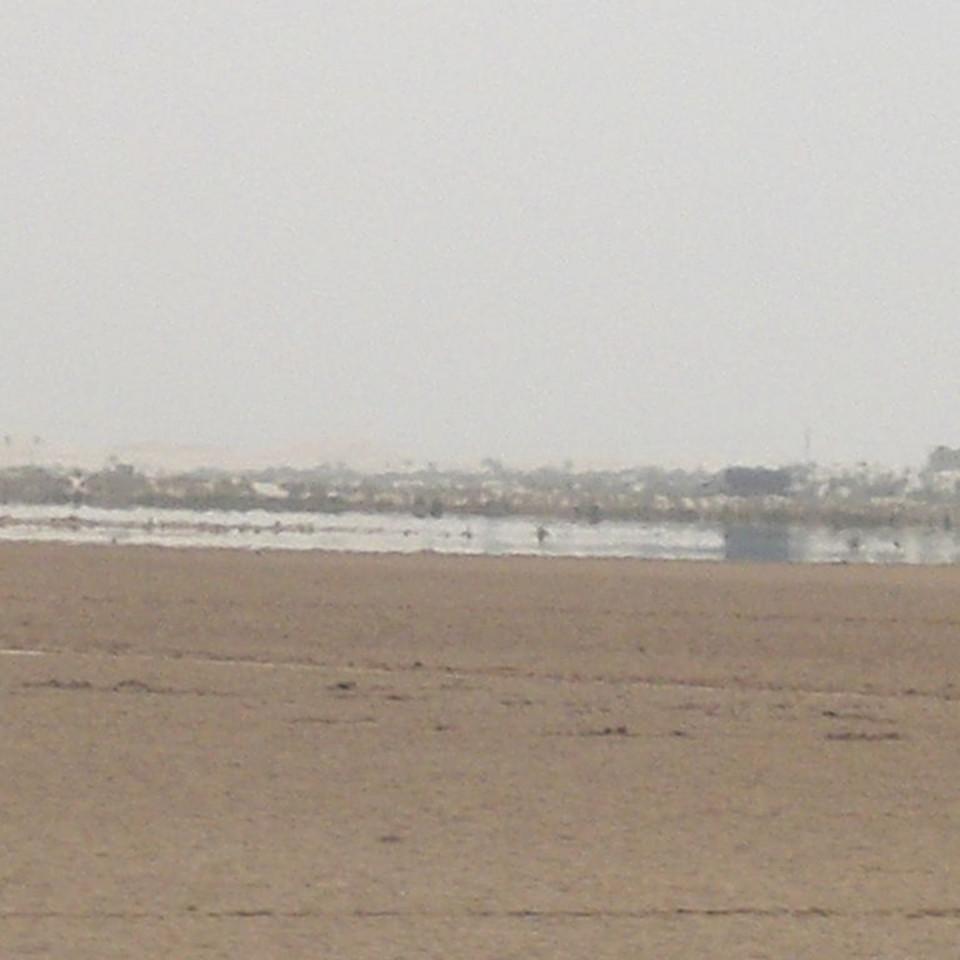 235.JPG