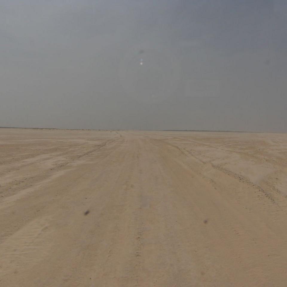 238.JPG