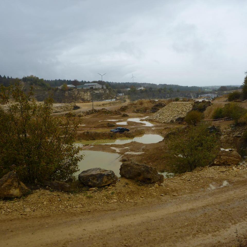 223.jpg