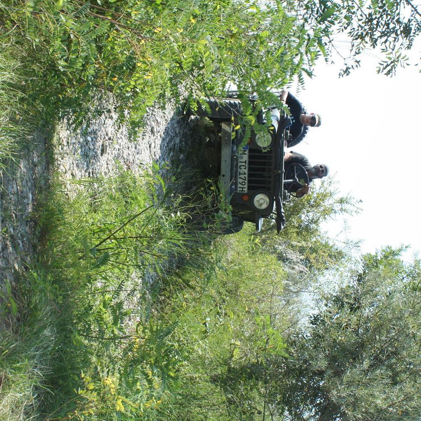IMG_0110.JPG
