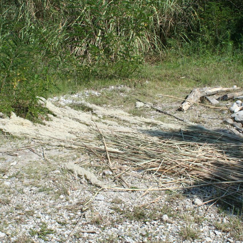 IMG_0115.JPG