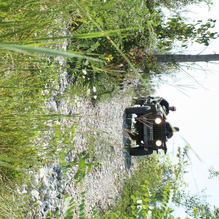 IMG_0124.JPG