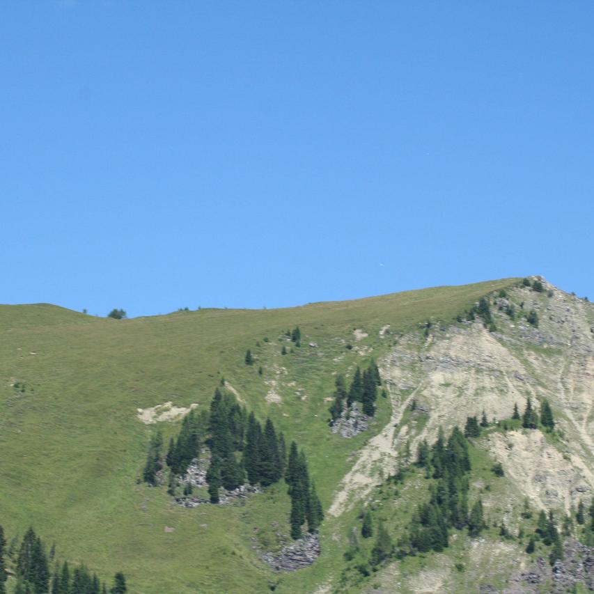 IMG_0215.JPG