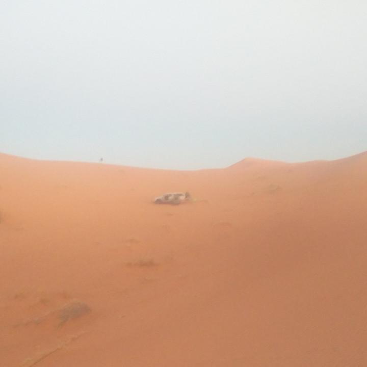 IMG_20170308_061941.jpg