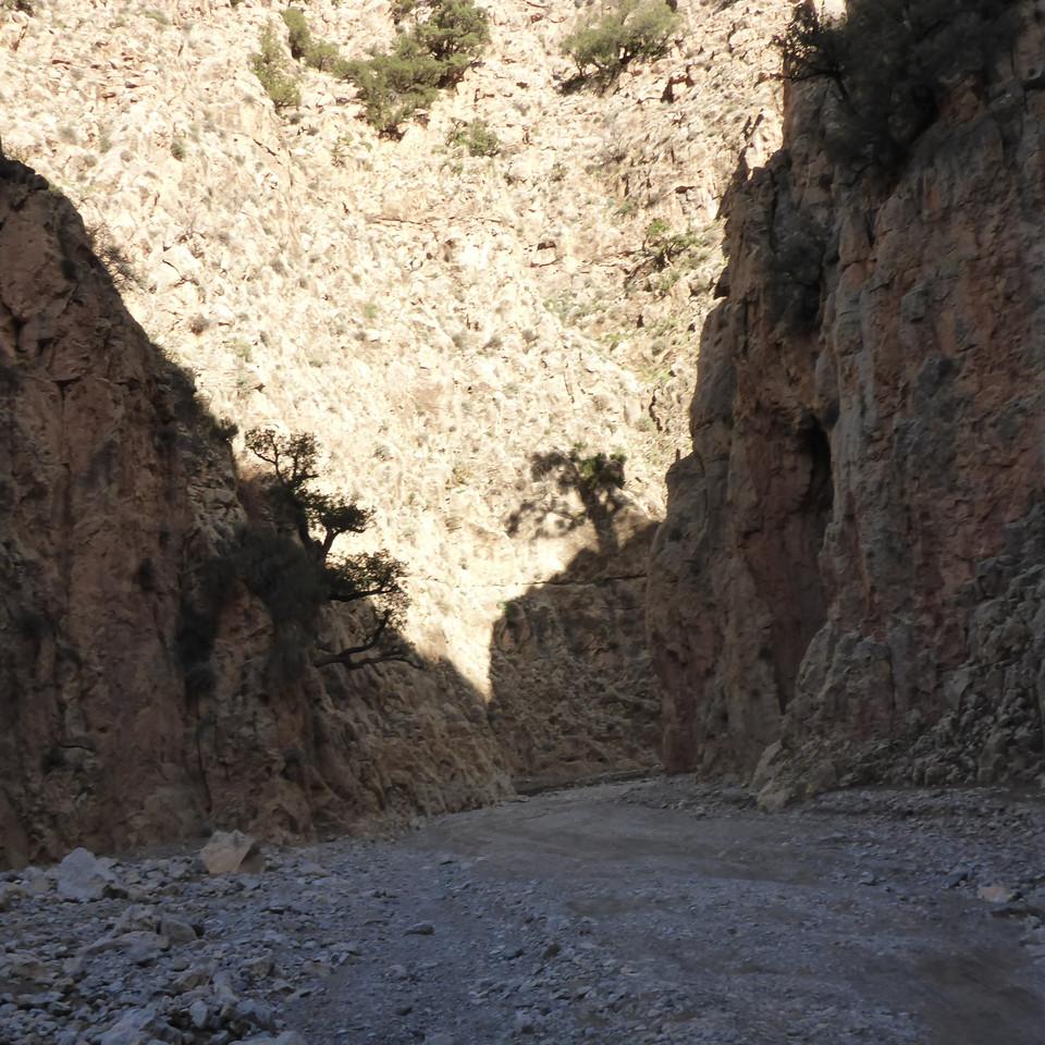 P1020454.JPG