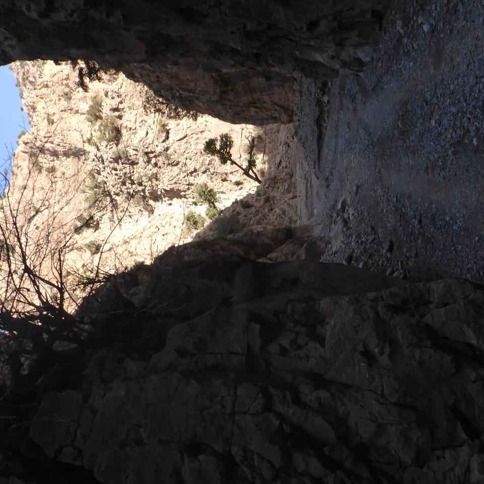 P1020459.JPG