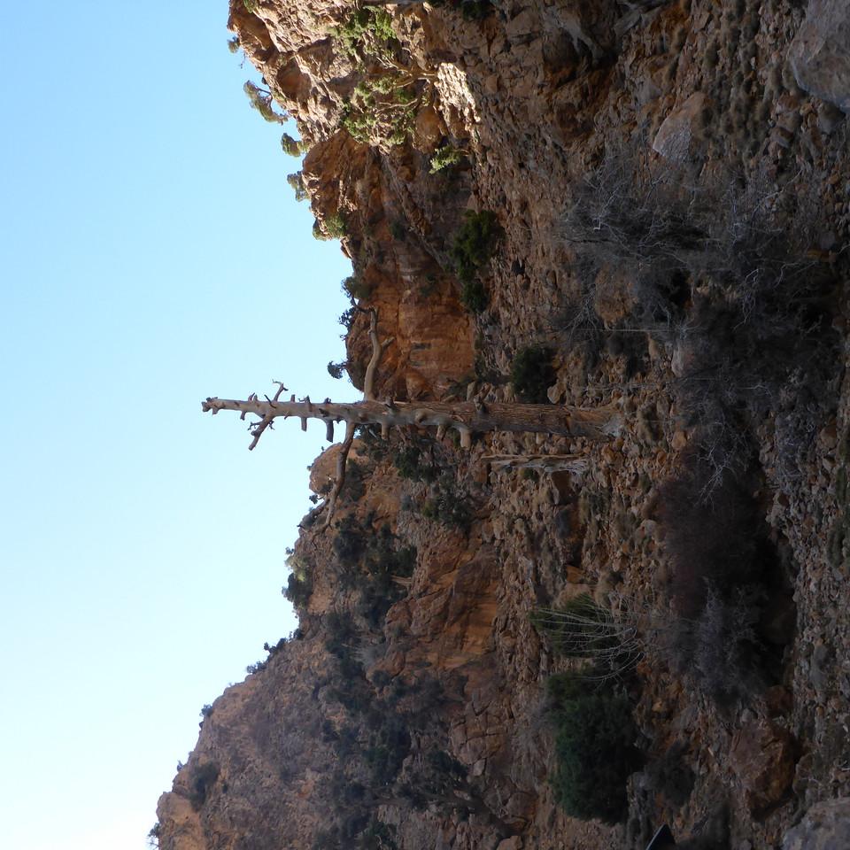 P1020464.JPG