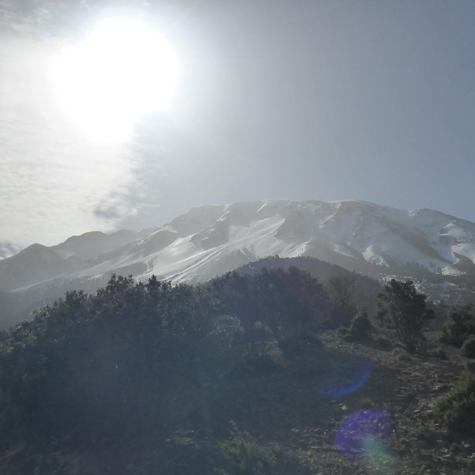 P1020474.JPG