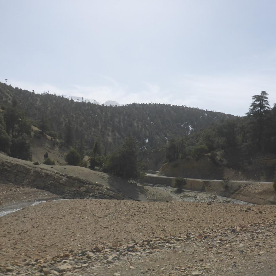 P1020480.JPG