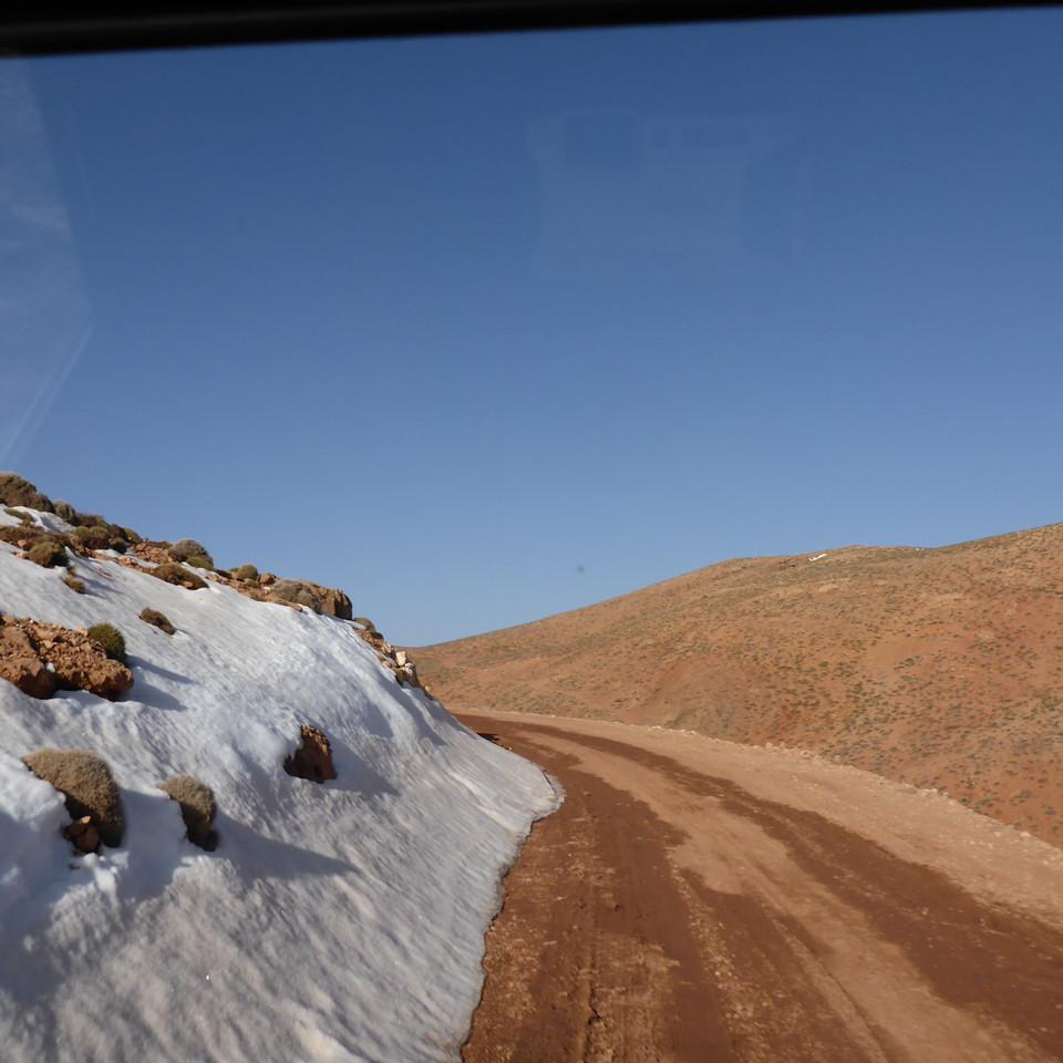 P1020484.JPG