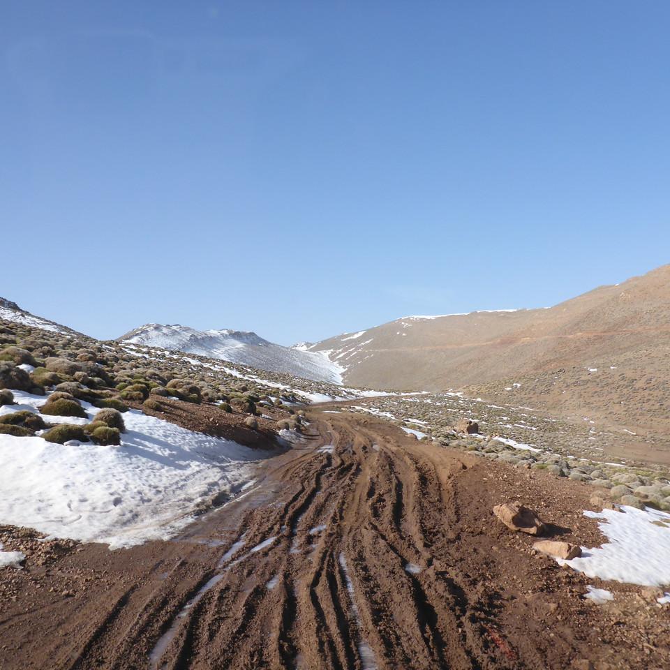 P1020493.JPG