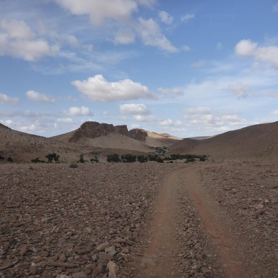 P1020647.JPG