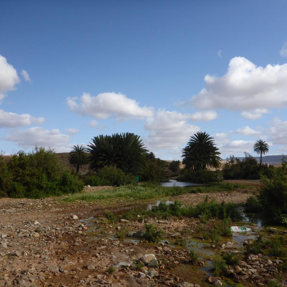 P1020653.JPG