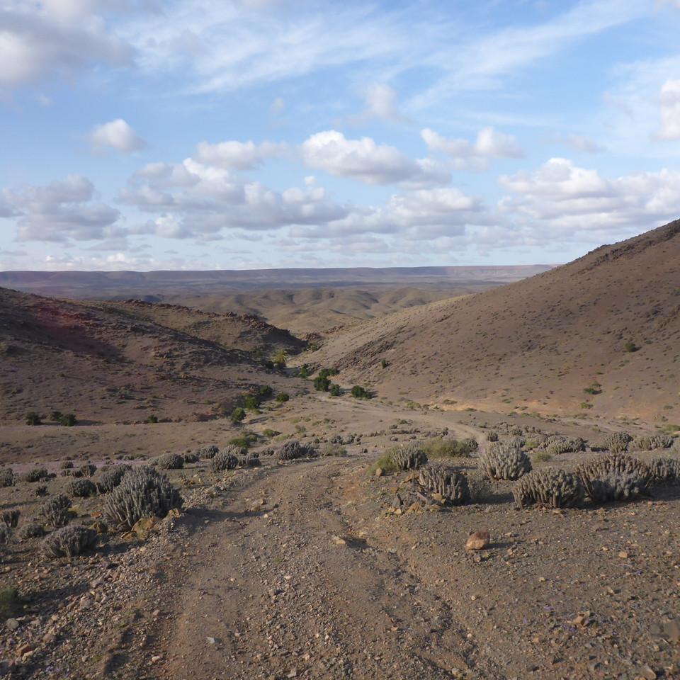 P1020655.JPG